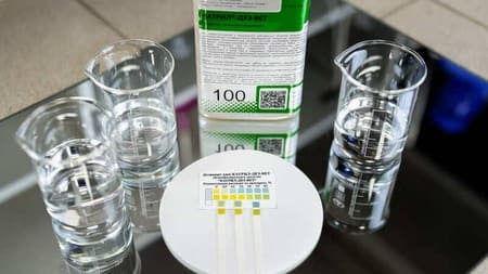 Эксперты ожидают, что к 2027 году курятина станет самым популярным и потребляемым мясом в мире