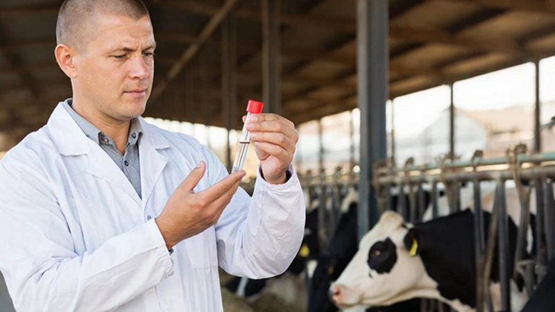 Биобезопасность в животноводческих хозяйствах: эффективная профилактика ящура с применением средств компании «Экохиммаш»