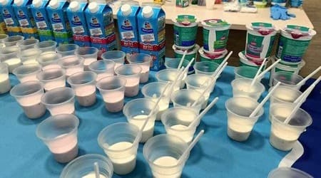 Практический тренинг «Технологические аспекты производства сметаны и творога»