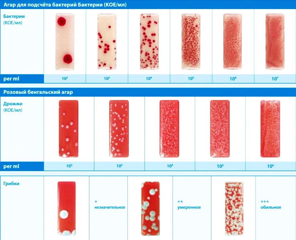 \"Рекомендации
