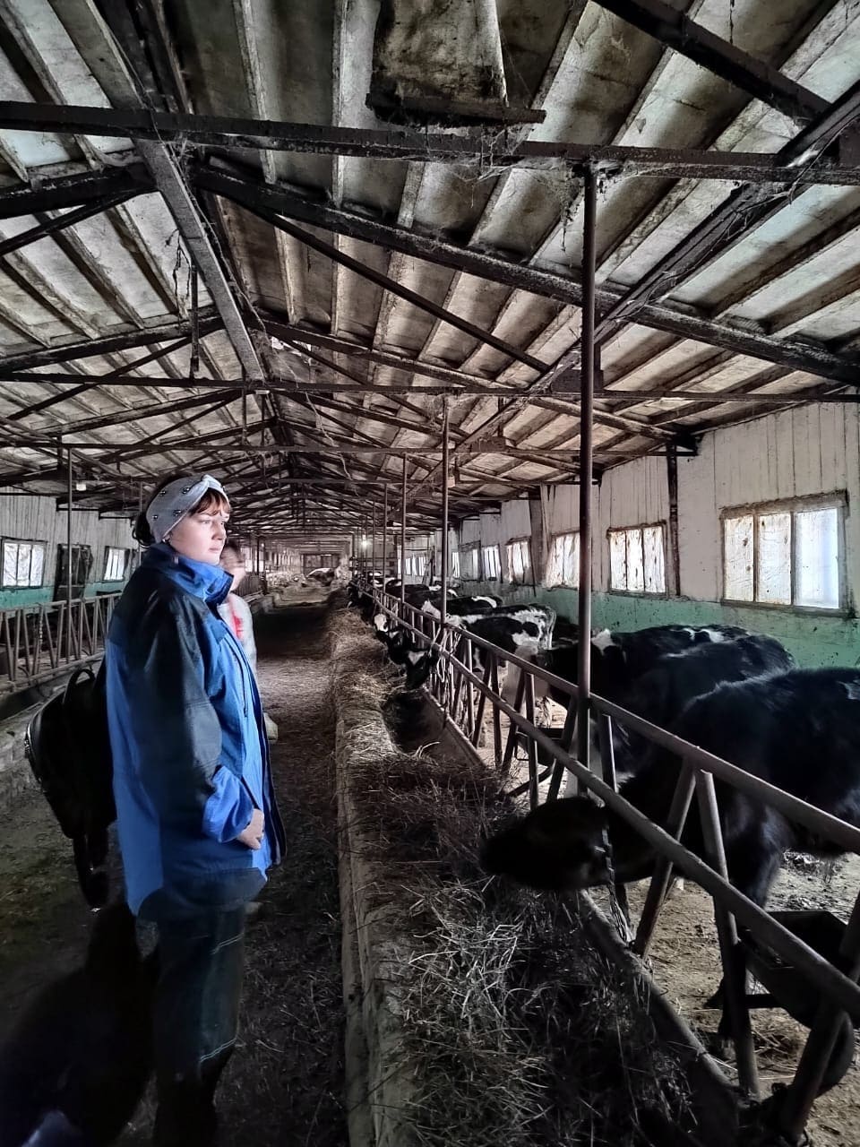 Аудит ферм специалистами компании Аудит ферм специалистами компании