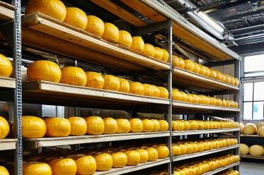 Инструкция  по санитарной обработке деревянных стеллажей для хранения сыра